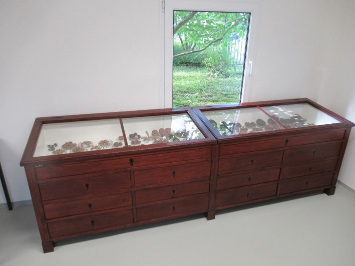 Display case There is a wooden display case in a room. It has many drawers and a glass top. Some blurred exhibits are visible inside.