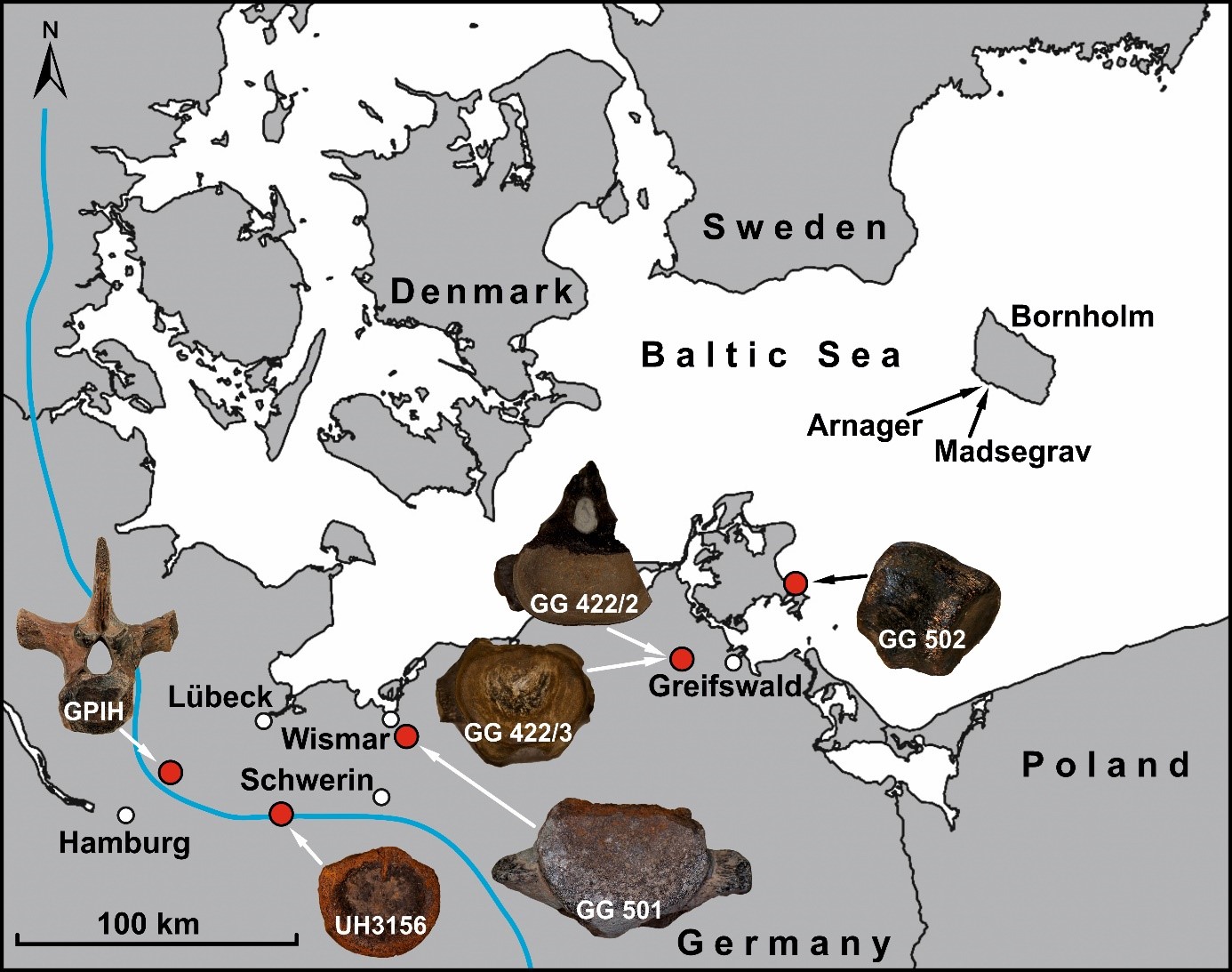 Fundorte der fossilen Plesiosaurier-Wirbel. Die blaue Linie zeigt den maximalen Vorstoß der Gletscher der letzten Kaltzeit vor etwas 23 000 Jahren.