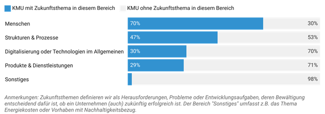 Grafik, die zeigt, wo KMU ihre Zukunftsthemen für 2025 verorten.