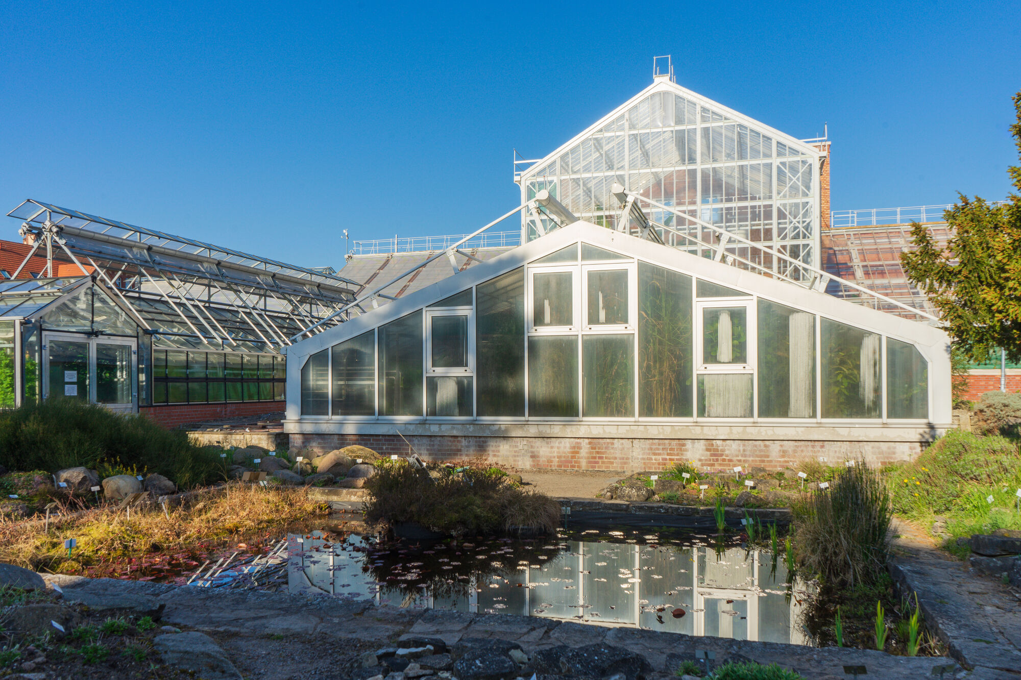 Gewächshäuser im Botanischen Garten im Morgenlicht.