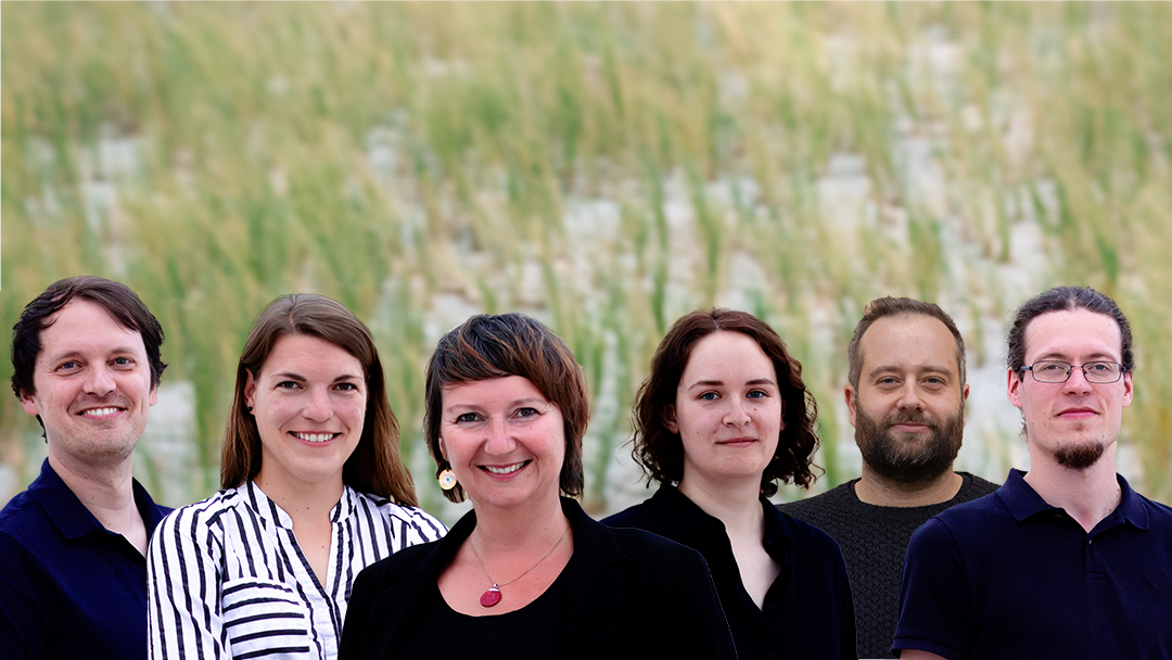 Link to the Team Website