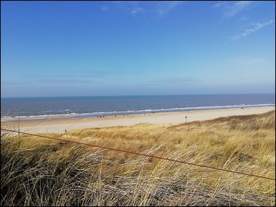 Dünen Strand Küste - Foto: Jennifer Schulz Dünen Strand Küste - Foto: Jennifer Schulz