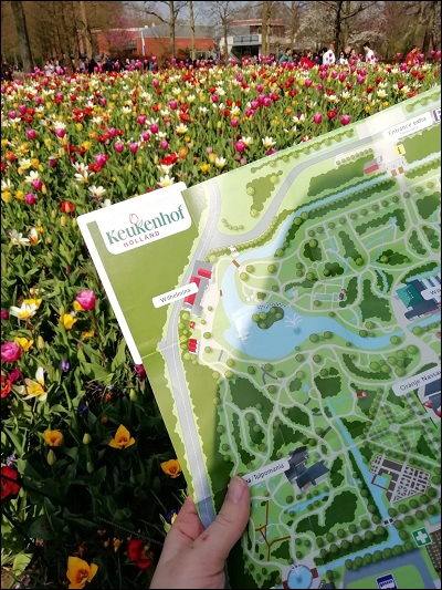 Keukenhof - Foto: Jennifer Schulz Keukenhof - Foto: Jennifer Schulz