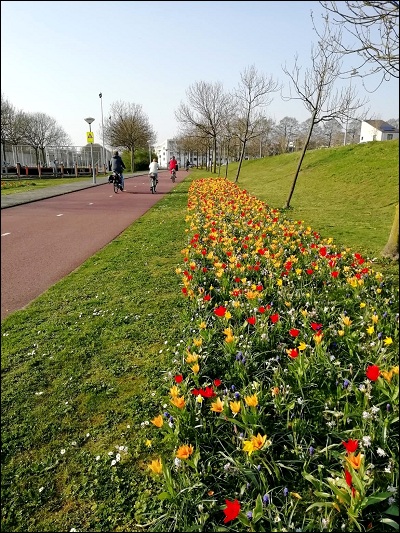 Radfahren Frühling - Foto: Jennifer Schulz Radfahren Frühling - Foto: Jennifer Schulz