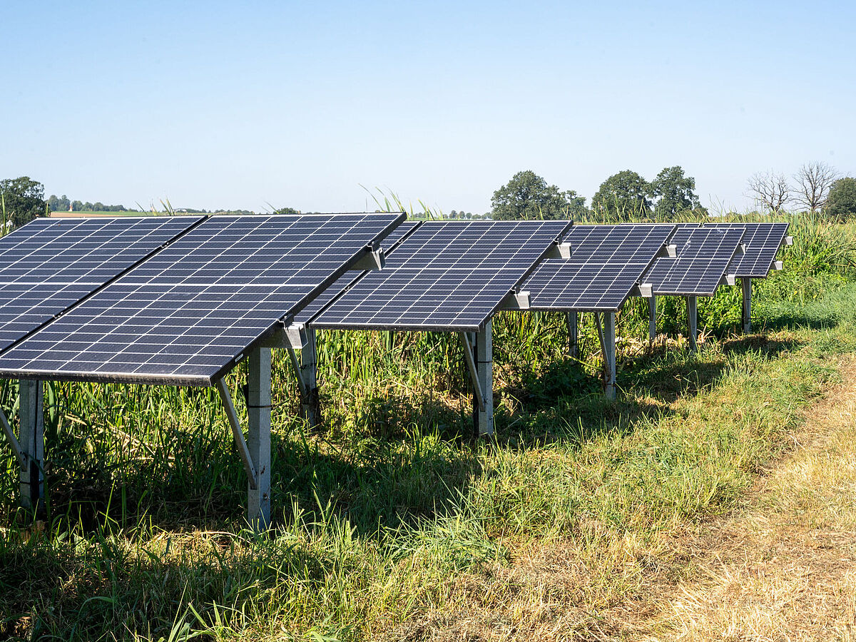 Stock photo renewable energy, Photo: Jan Hilgendorf