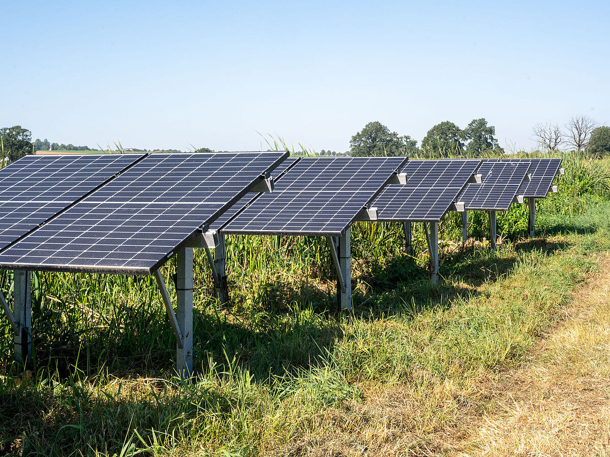 Solarmodule in einer grünen Landschaft.