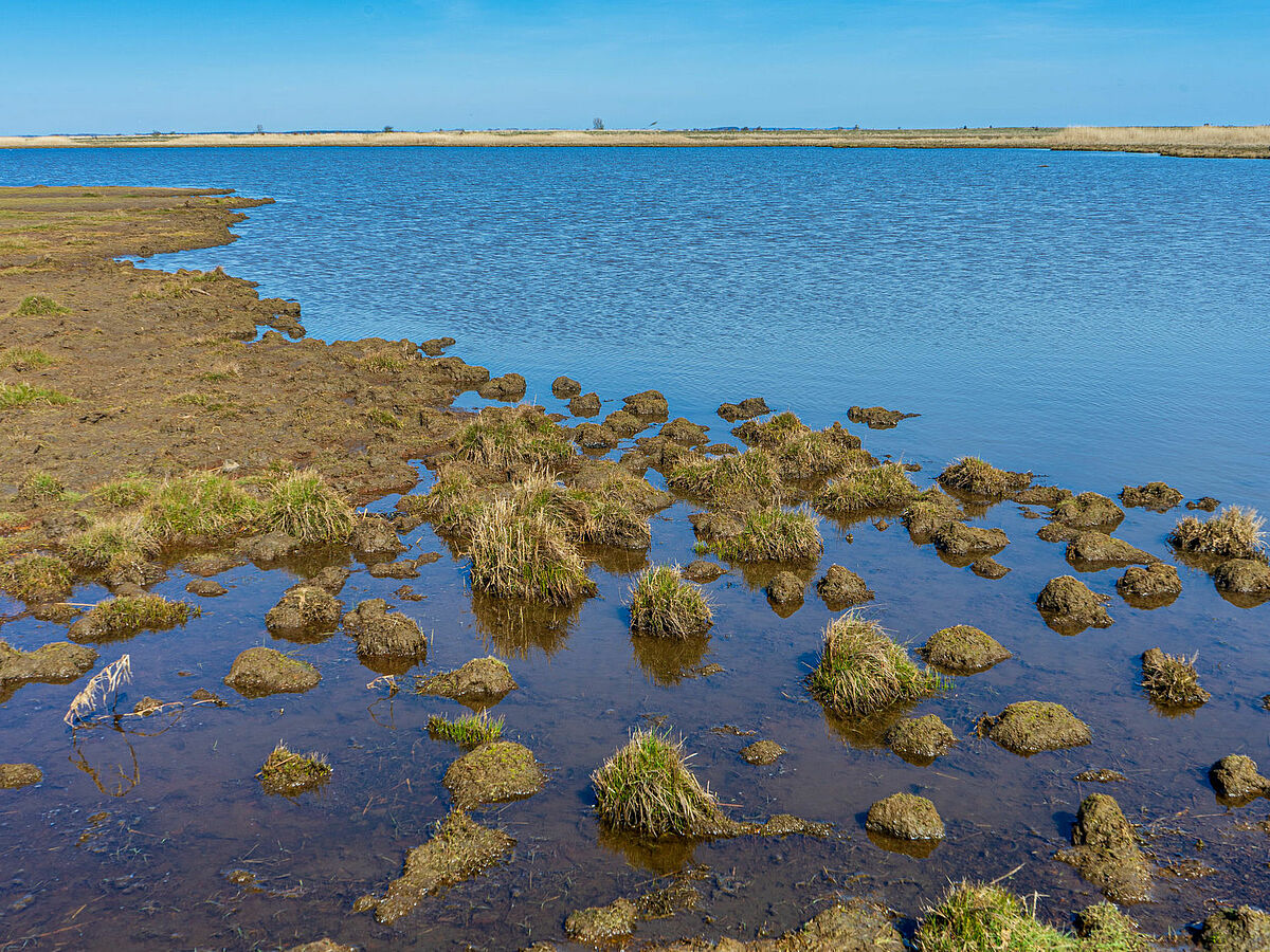 Island of Koos, © Jan Meßerschmidt, 2020