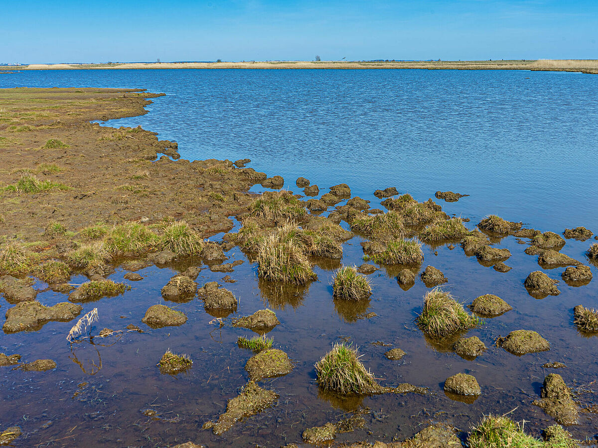 Insel Koos, © Jan Meßerschmidt, 2020