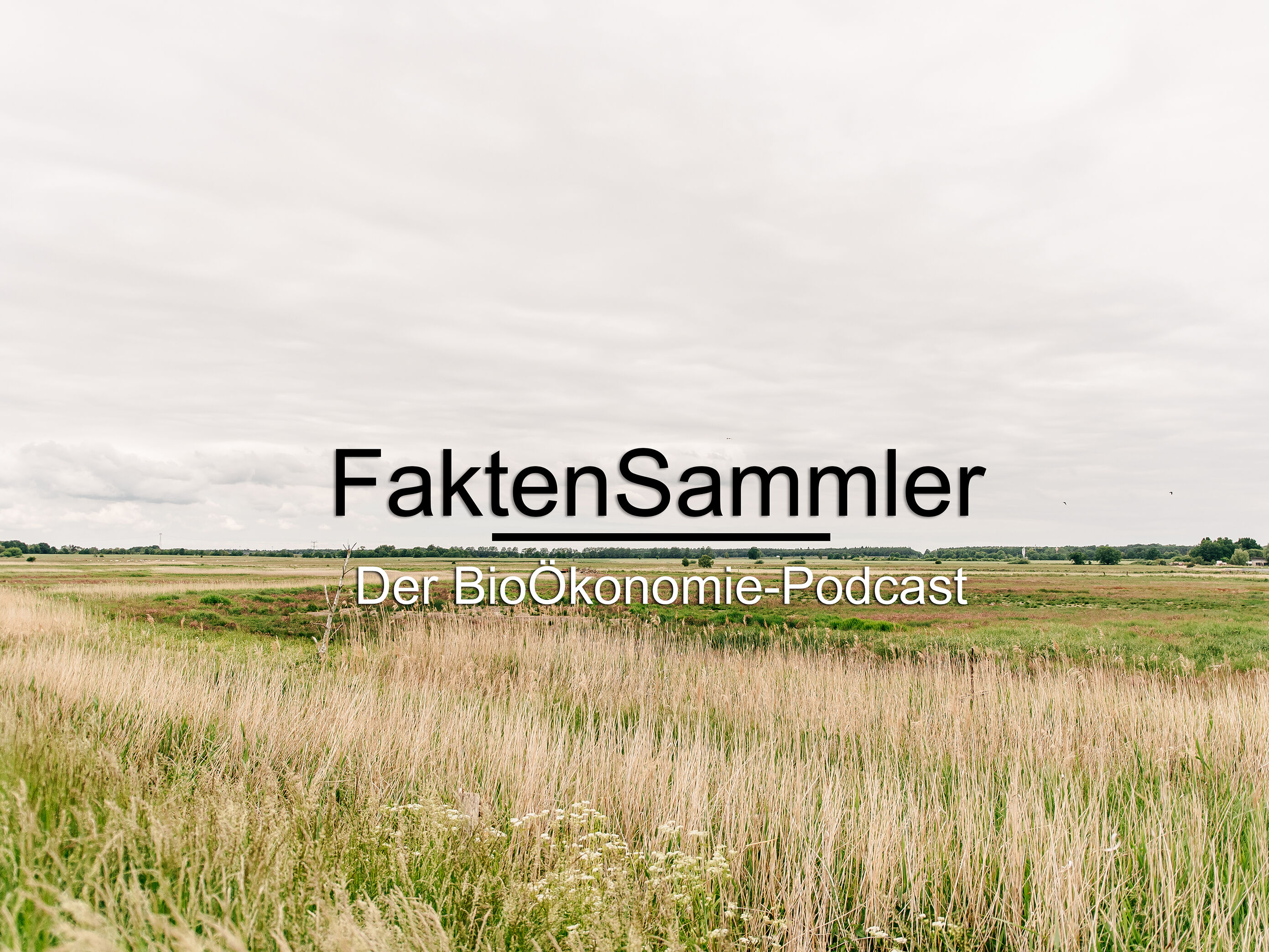 Der FaktenSammler zum Thema Bioökonomie – @Ole_Kracht