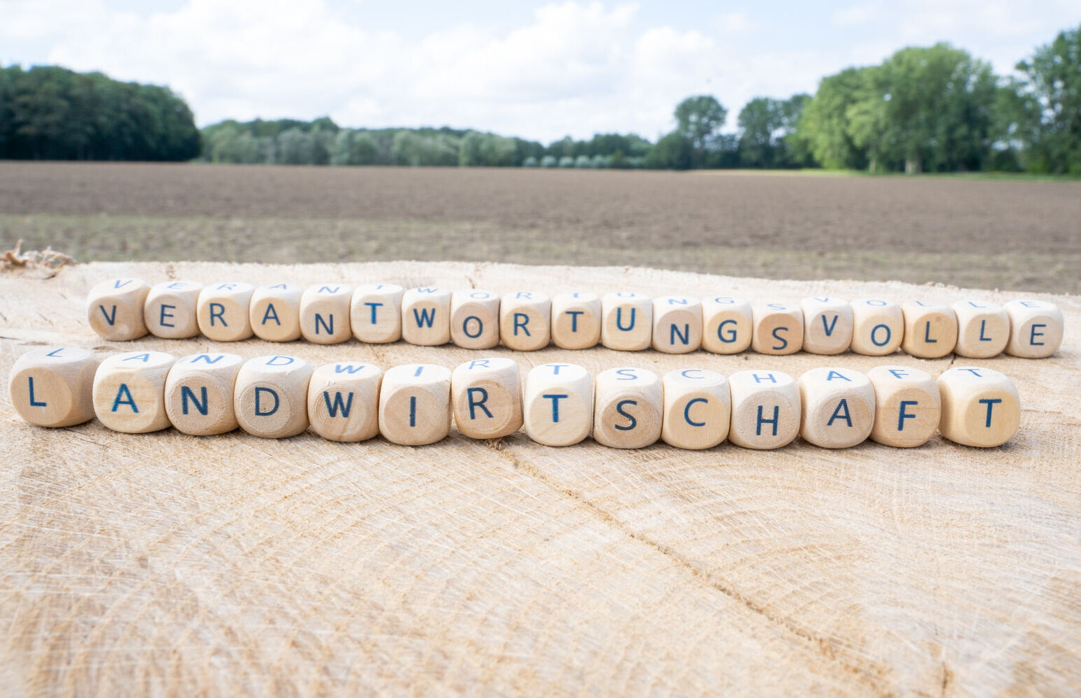 Auf dem Symbolbild sind Buschatabensteine mit dem Text Verantwortungsvolle Landwirtschaft zu sehen. Dahinter ist ein Feld.