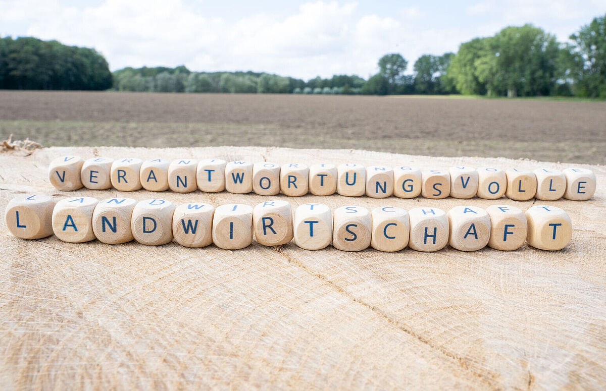 Auf dem Symbolbild sind Buschatabensteine mit dem Text Verantwortungsvolle Landwirtschaft zu sehen. Dahinter ist ein Feld.