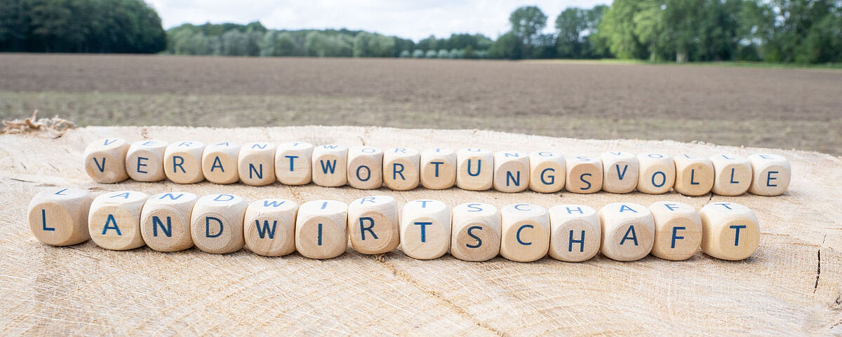 Auf dem Symbolbild sind Buschatabensteine mit dem Text Verantwortungsvolle Landwirtschaft zu sehen. Dahinter ist ein Feld.