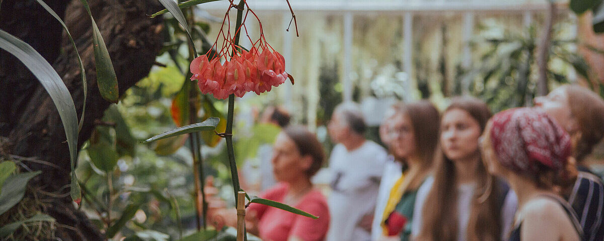 Symbolic image for the Botanical Garden © Laura Schirrmeister, 2022