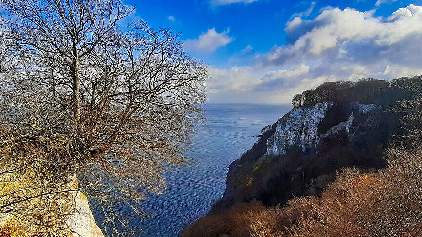 Blick vom Königsstuhl auf die weißen Kreidefelsen und das Meer. 