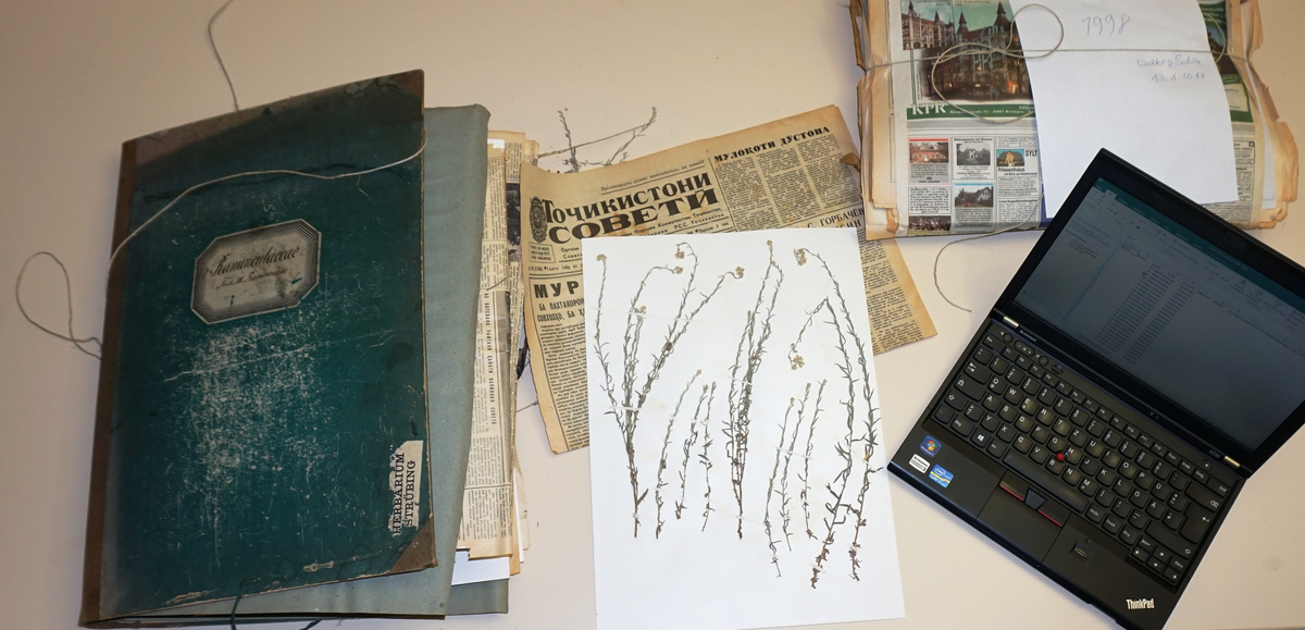 Care is already required in the preparation of good herbarium specimens. The plants are placed in  newspapers for pressing and separated in clip folders. At the same time, data is entered on the  computer. © J. Wunderlich/ Michael Succow Foundation