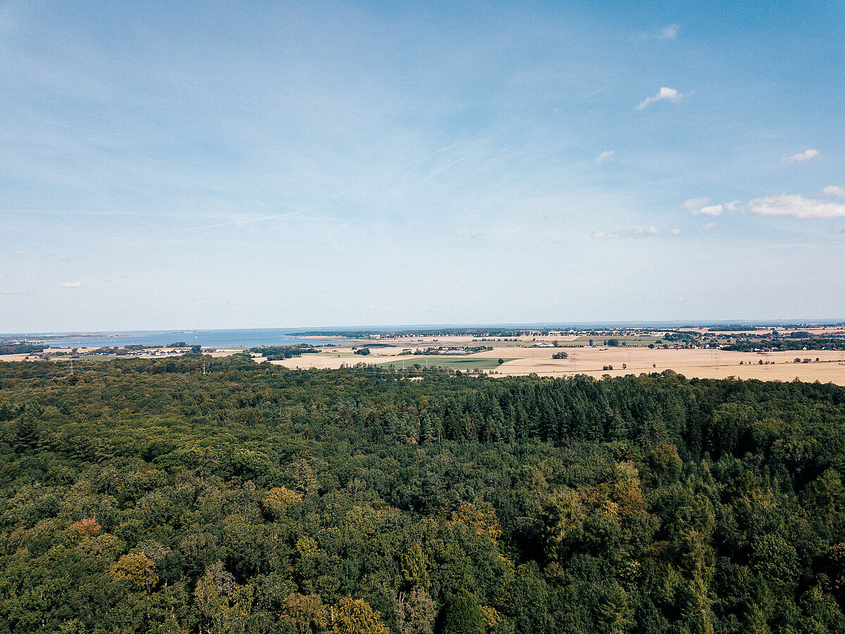 Samenernte im Forst ©Magnus_Schult Samenernte im Forst ©Magnus_Schult