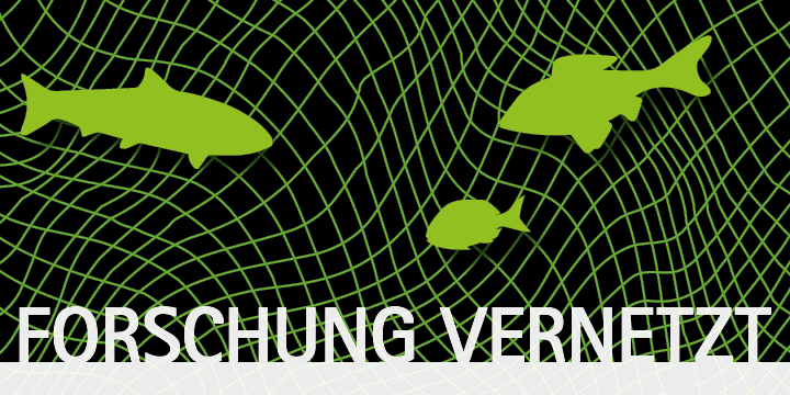 "Forschung vernetzt"