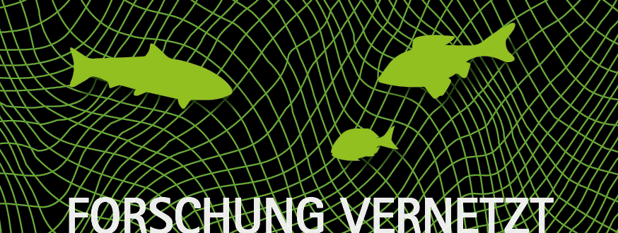 Forschung vernetzt