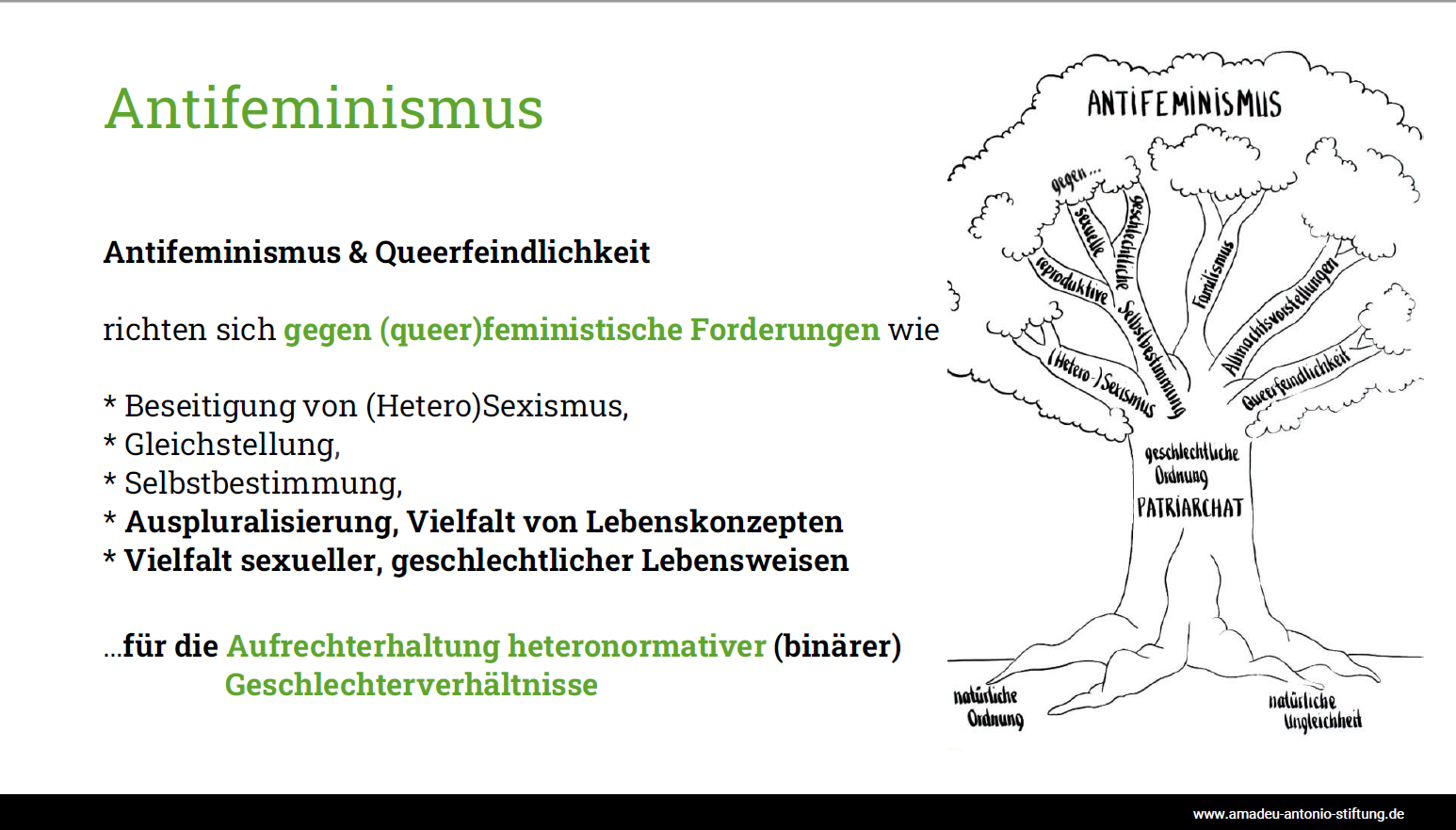 Folie aus der PowerPoint-Präsentation zum Thema Antifeminismus und Queerfeindlichkeit