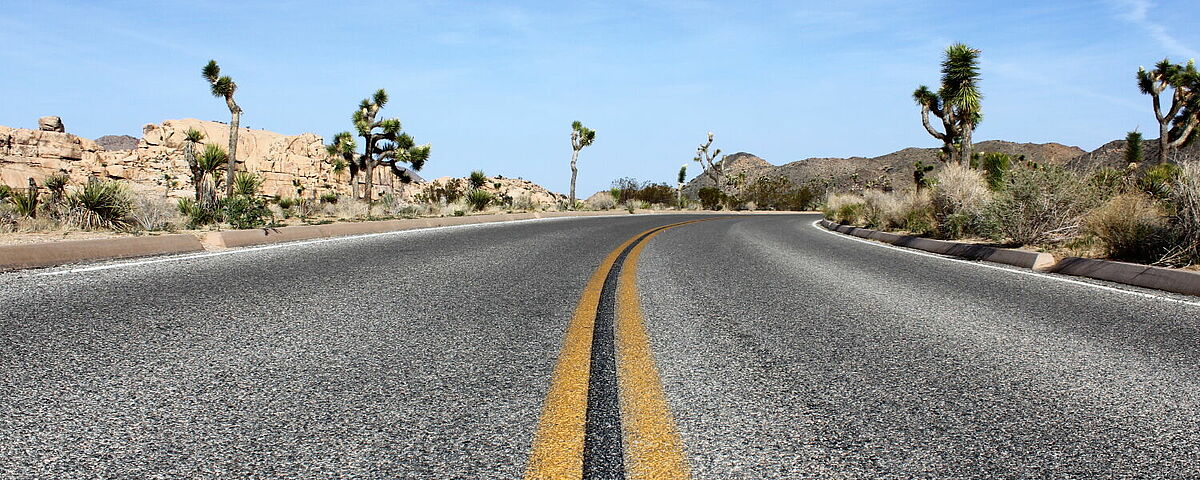 Joshua Tree Nationalpark Kalifornien – Foto: Ulrike Rust Joshua Tree Nationalpark Kalifornien – Foto: Ulrike Rust