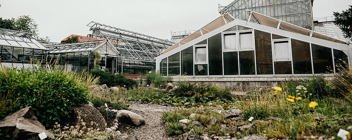 Freilandbereich des Botanischen Gartens - Foto: Till Junker