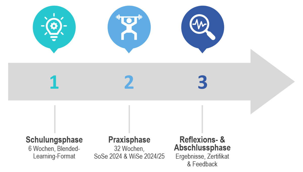 Illustration: programme phases for e-tutors