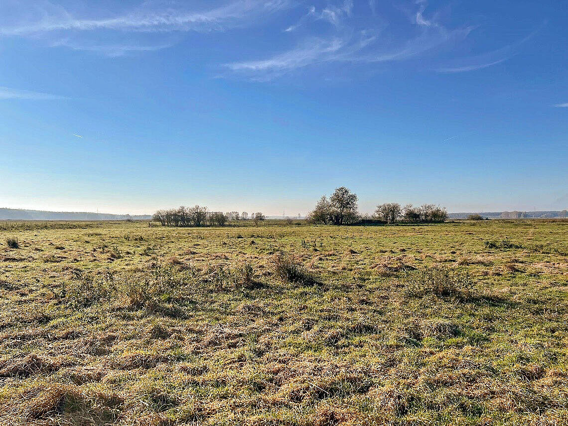 Experimental area in Mecklenburg-Vorpommern: During the course of the project, this peatland area will be rewetted and covered with peatland PV. © Gerald Jurasinski